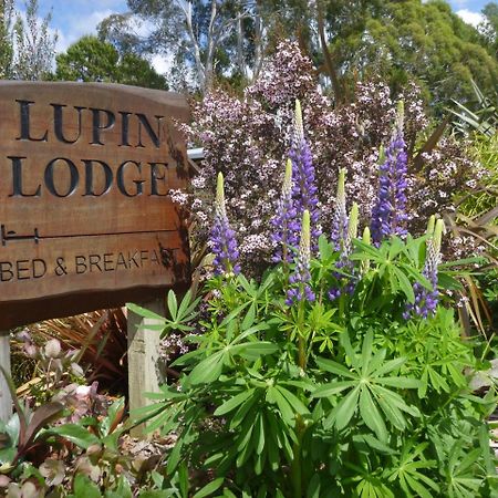 Lupin Lodge Bed & Breakfast Tauposee Exterior foto