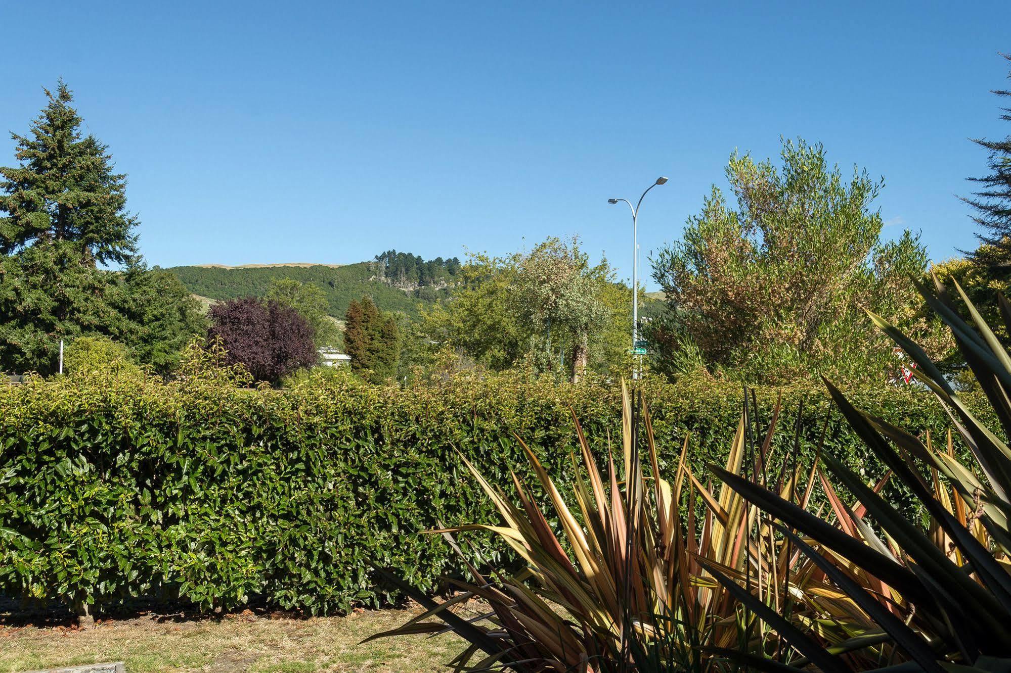 Lupin Lodge Bed & Breakfast Tauposee Exterior foto