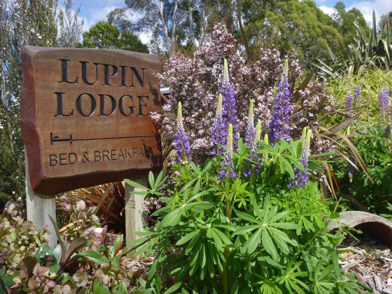Lupin Lodge Bed & Breakfast Tauposee Exterior foto